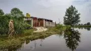 Punjab Flood Victims to Receive Land Allotment: Government Announces Rehabilitation Package