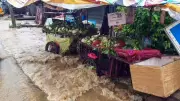 Red Alert! IMD Warns of Torrential Rains in Six Andhra Districts, Tamil Nadu on High Alert