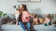 Say Goodbye to Pet Odours! 5 Natural & Effective Home Remedies That Actually Work