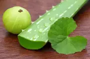 Stop Hair Fall Naturally: The Ultimate Amla & Aloe Vera Hair Mask Recipe