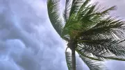 Tropical Storm Melissa Intensifies: Hurricane Threat Looms for US Coastline