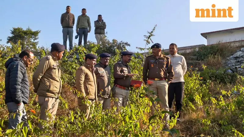161 Gelatin Sticks Found Near Uttarakhand School, Contractor Suspected
