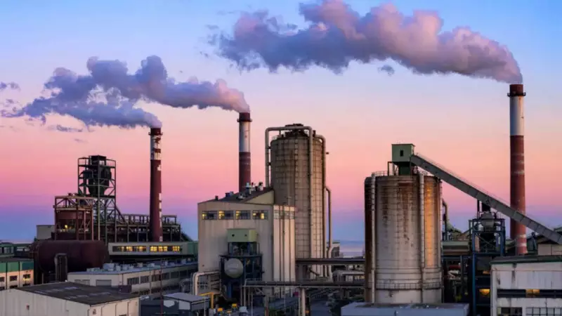 168 Everyday Chemicals Harm Gut Bacteria: 2025 Study