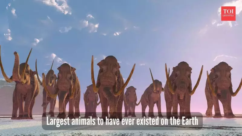 5 Largest Animals Ever: Blue Whale Still Roams Oceans