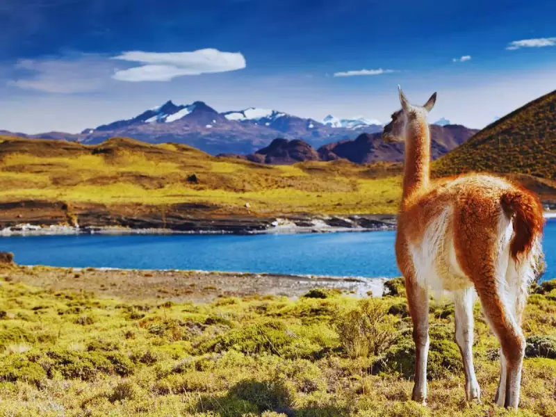 5 Must-Visit National Parks in South America for Adventure Lovers