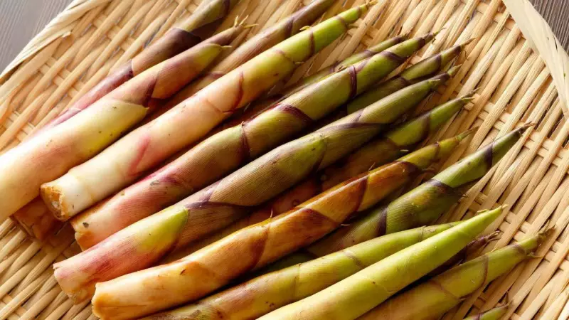 5 Powerful Health Benefits of Bamboo Shoots: Nutrition & Recipes