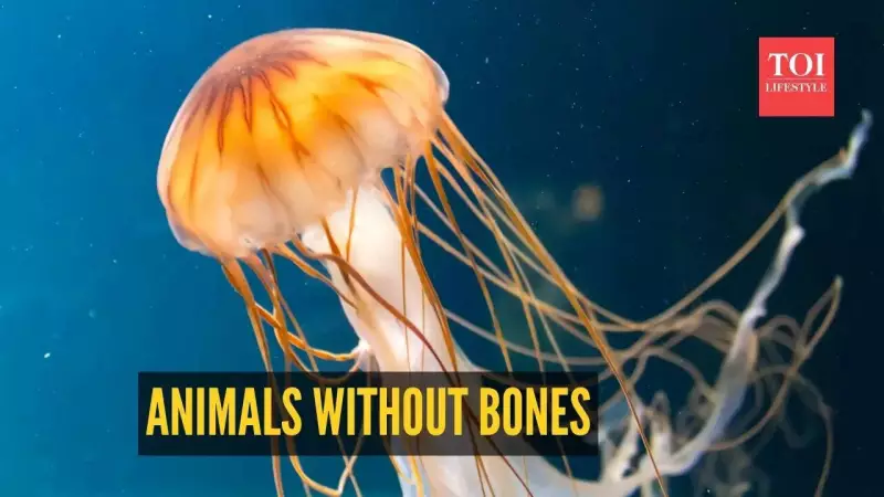 7 Incredible Boneless Animals That Will Amaze You | Nature's Marvels