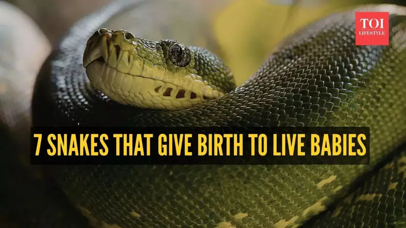 7 Snakes That Give Live Birth: Defying Common Myths