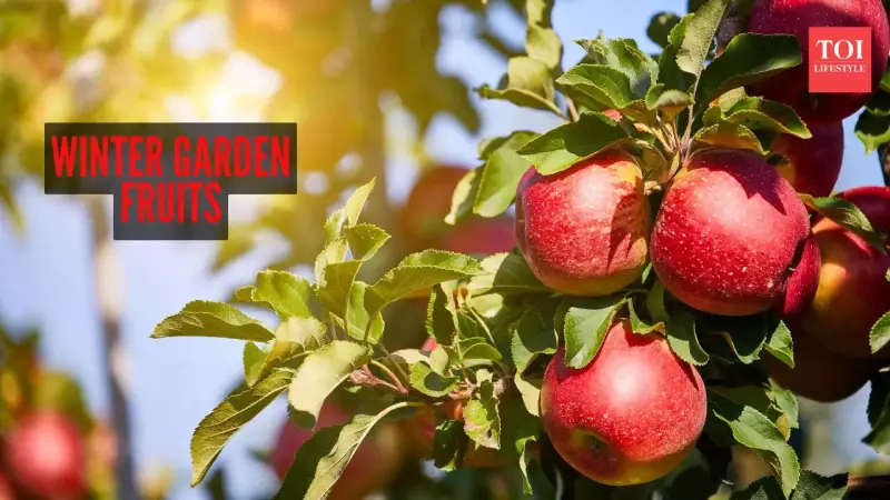 8 Winter-Friendly Fruits for Your Cold-Weather Garden