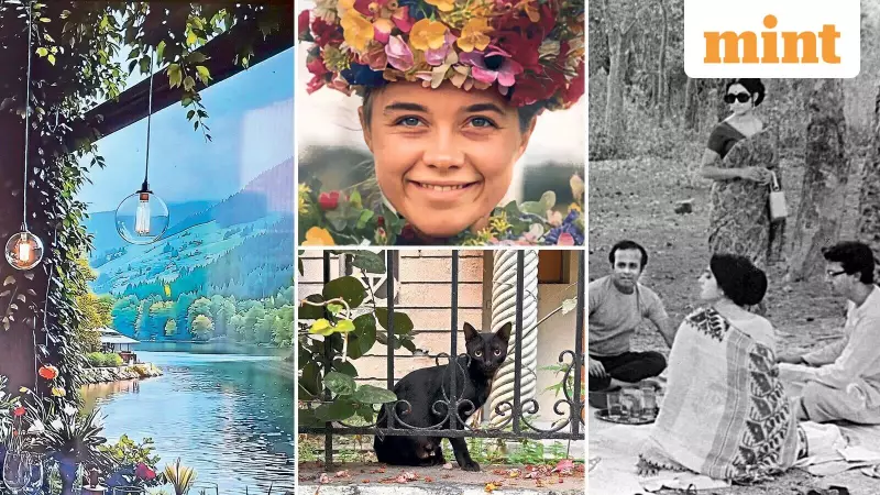 Ambient Escapes & Black Cats: Lounge Loves Transform Daily Routines