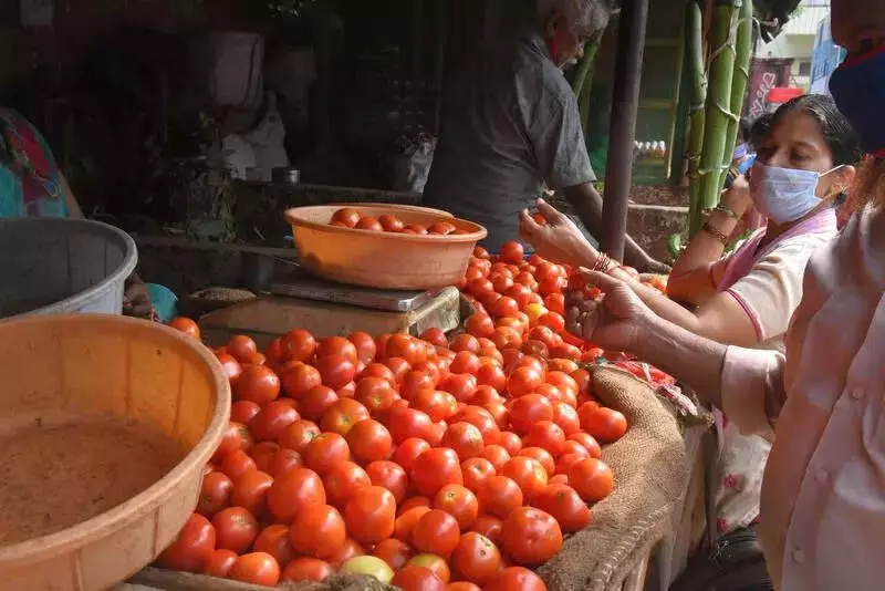 Andhra Pradesh Empowers Women SHGs with Rs 166 Lakh Vegetable Farming Initiative