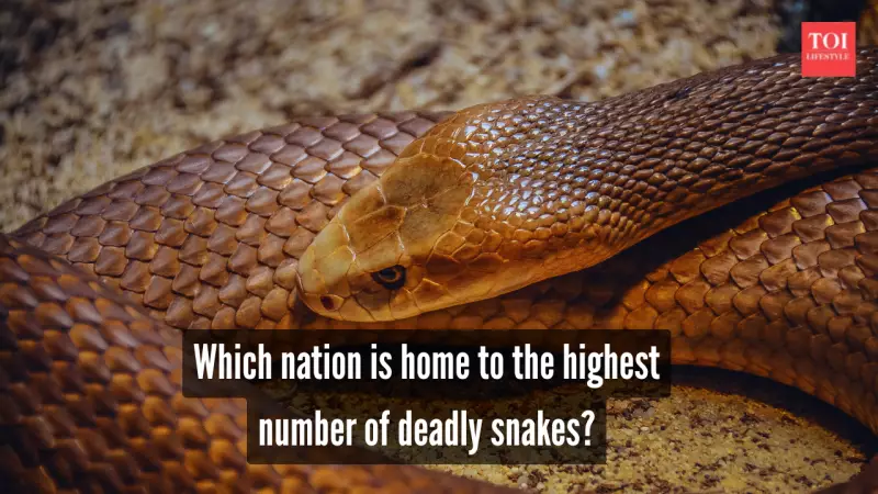 Australia's Venomous Snakes: World's Deadliest Yet Few Fatalities
