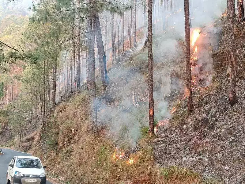 Bageshwar Forest Fires Rage for 3 Days, Threatening Wildlife and Villages