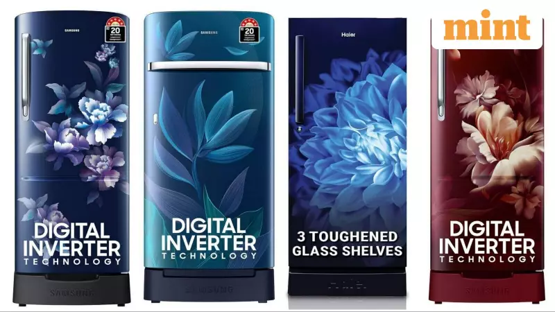 Beat the Heat & High Bills: Top 10 Energy-Efficient Refrigerators for Maximum Savings in 2024