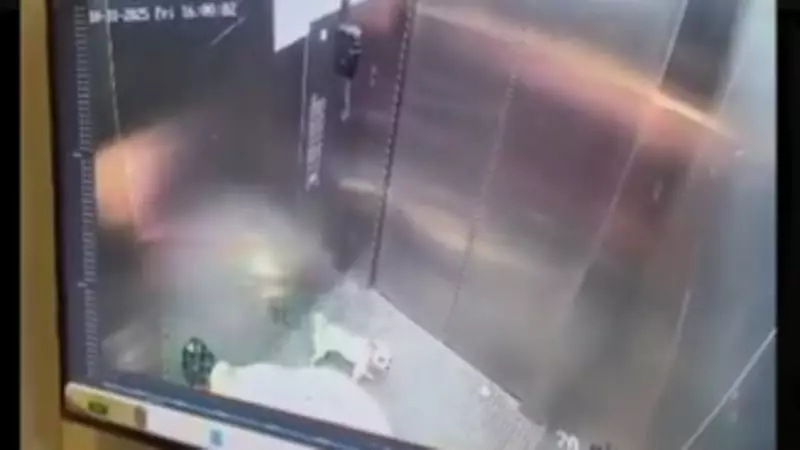 Bengaluru Woman Arrested After Shocking Elevator Incident: Pet Dog Killed in Frustration Over Constant Barking