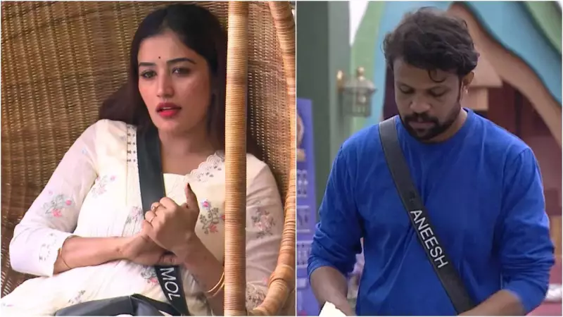 Bigg Boss Malayalam 7: Anumol Rejects Aneesh's Romantic Proposal, Says 'Marriage Not on My Mind Right Now'