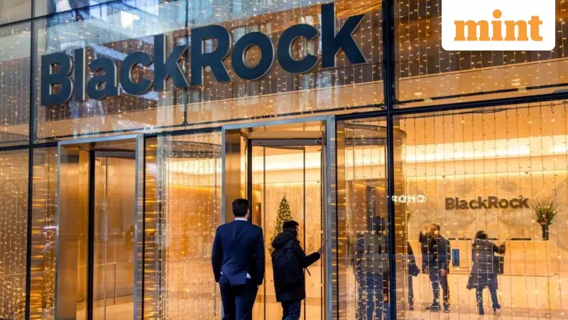 BlackRock Boosts US Stock Bet to 3% Amid AI Rally Doubts