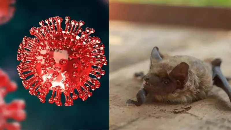 BRZ BatCov: New COVID-Like Virus Found in Brazilian Bats Sparks Pandemic Alert