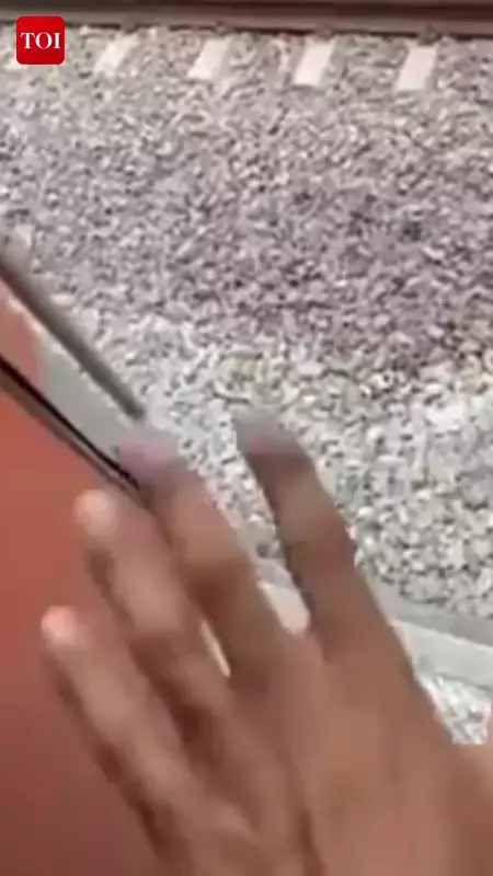 Chaos on Patna-Kota Express After Passenger Pulls Emergency Chain