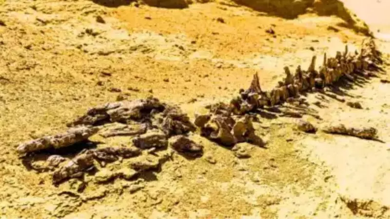 Chucarosaurus Diripienda: The Colossal Titanosaur That Rewrote Paleontology and Shattered Roads