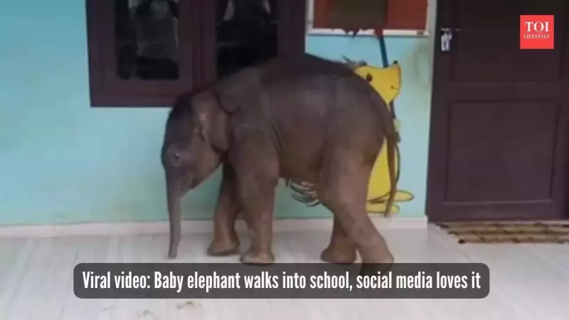 Classroom Crasher: Adorable Baby Elephant Wanders Into Indian School Like It's Time for Lessons