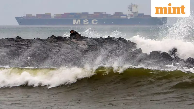 Cyclone Ditwah Forces Tamil Nadu School Closures, University Exam Postponements