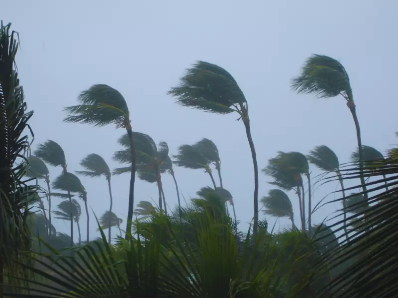 Cyclone Ditwah Nears Tamil Nadu: Flights Cancelled, Schools Shut