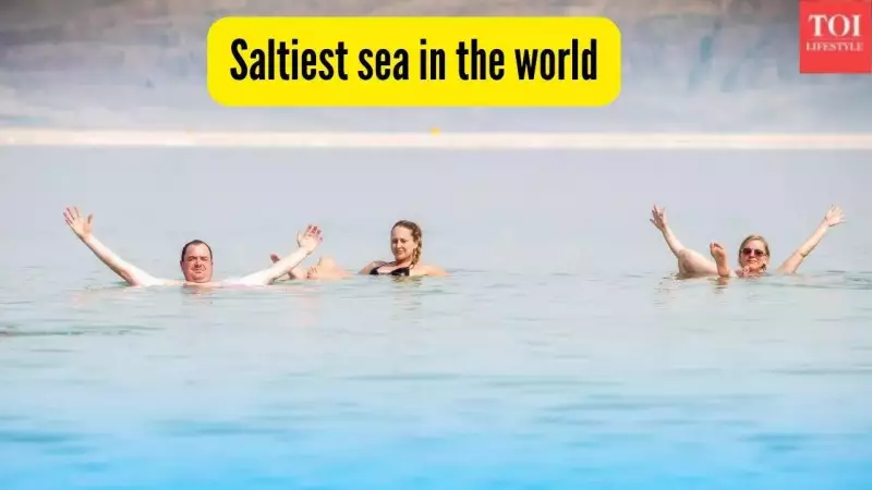 Dead Sea: The World's Saltiest Sea Where You Can't Drown