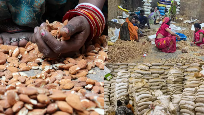 Delhi's Almond Workers Toil in Dust for ₹3/kg as Winter Sets In