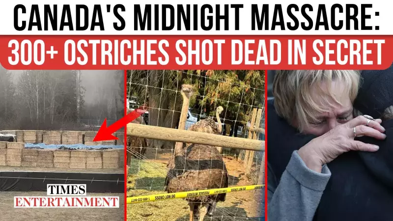 Edgewood Farm Tragedy: 300 Ostriches Culled in Midnight Avian Flu Operation
