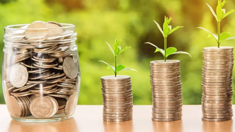 ELSS vs PPF vs FD: Which Tax-Saving Investment is Right for YOU in 2024?