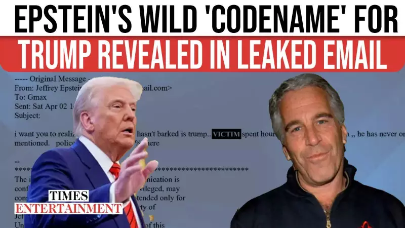 Epstein's 5-Word Trump Codename Revealed in Maxwell Email Leak