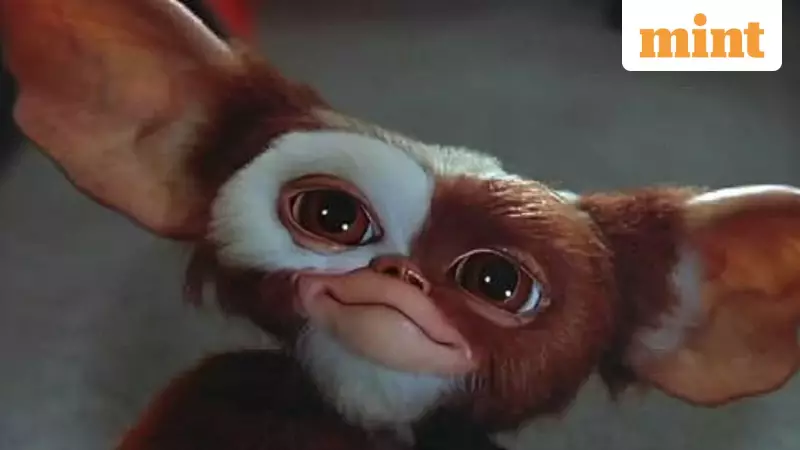 Gremlins 3 Finally Gets Theatrical Release Date! Warner Bros Confirms Return of Mogwai Mayhem
