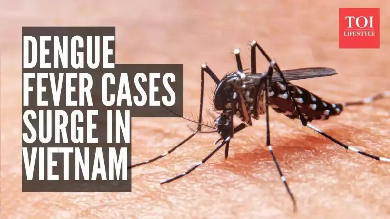 Hanoi Gripped by Dengue Outbreak: Heavy Rains and Flooding Fuel Mosquito Menace