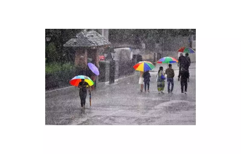 HP High Court Orders Shimla Vehicle Pass Crackdown to Save Pedestrian Charm