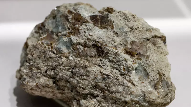 India's Auto Revolution: Ministry Pushes for Rare-Earth-Free Electric Vehicle Motors