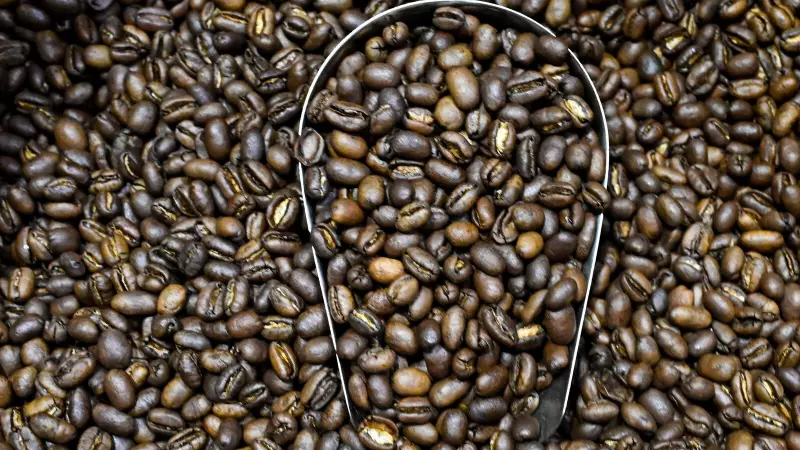 India's Coffee Exports Brew Up a Storm: 40% Surge to $1.8 Billion in FY25!