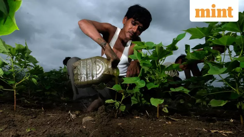 India's Draft Seeds Bill 2025 Aims to Combat Fake Seeds, Protect Farmers