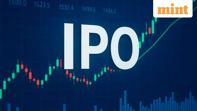 India's IPO Boom Masks Exit Strategy for Early Investors, Warns CEA