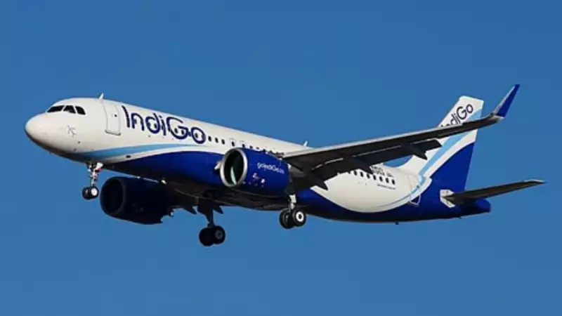IndiGo Q2 Results: Airline Posts ₹2,582 Crore Loss Despite Revenue Growth | Forex Woes Hit Bottom Line