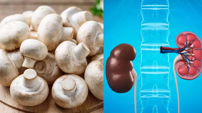 Kidney Disease? 5 Mushroom Safety Tips You Must Know