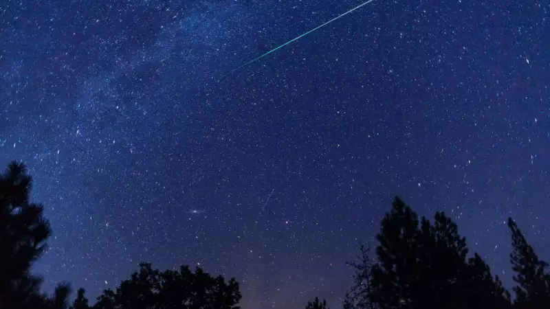 Leonid Meteor Shower 2025: Peak Viewing on Nov 16-17, Best Tips