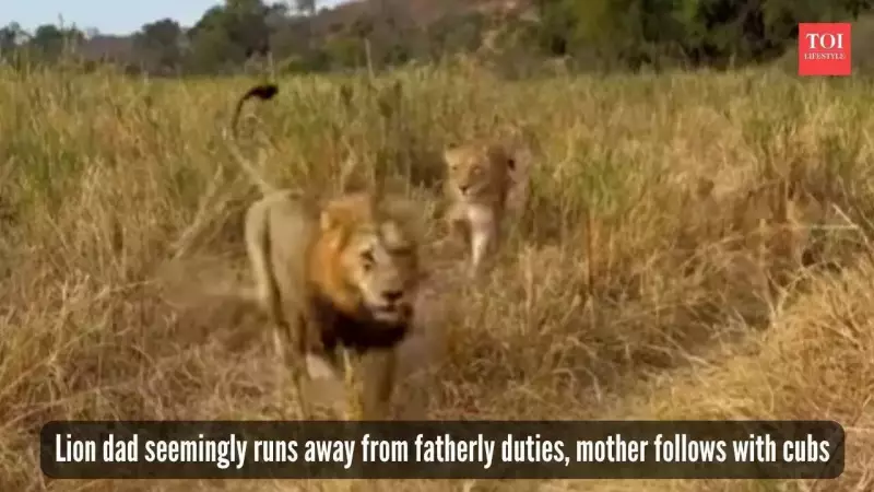 Lion Dad's Hilarious Escape From Babysitting Duties Goes Viral - Internet Can't Stop Relating!