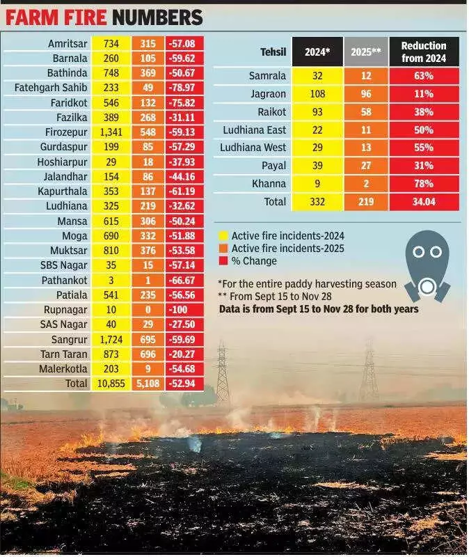 Ludhiana Sees 30% Drop in Stubble Burning Cases This Harvest Season
