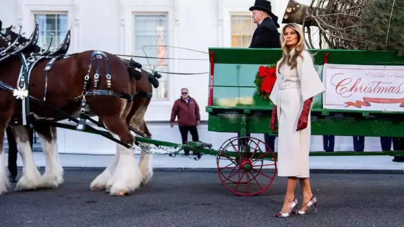 Melania Trump Welcomes 2025 White House Christmas Tree from Michigan