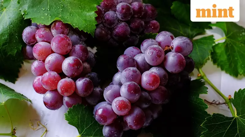 New Zealand Opens Market for Indian Grapes, Boosting FTA Prospects
