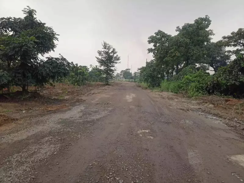 NGT Issues Notices Over 10.09 Acres Forest Land Encroachment in Odisha