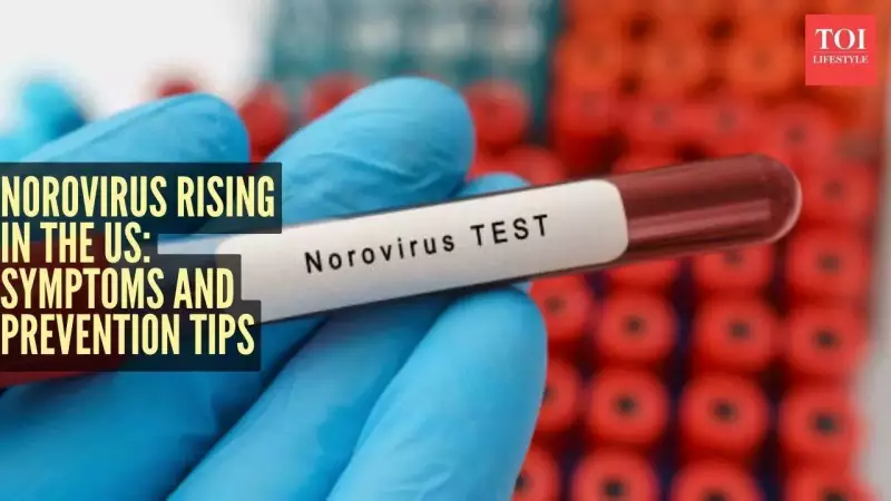 Norovirus Cases Spike in US: 14% Test Positive Ahead of Holidays
