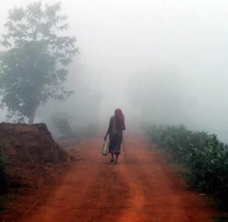 Odisha Braces for Chilly Nights: IMD Predicts 2-3°C Temperature Drop Across State