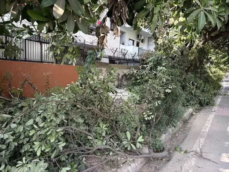 Panchkula's Rs 2.43 Crore Waste Plant Stuck in Tendering for 6 Months